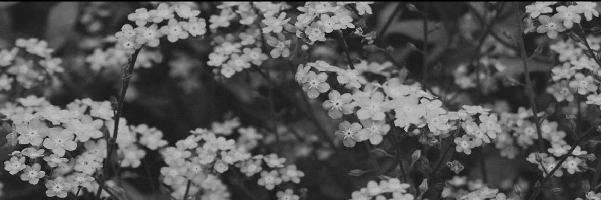 𝓪𝓷𝓮́𝓶𝓸𝓷𝓮 (off) banner