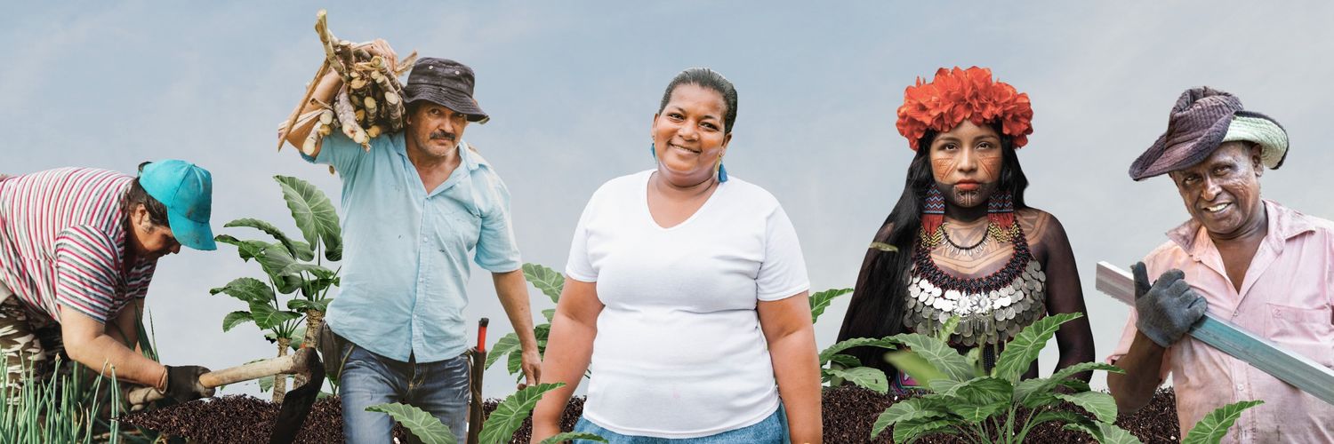 Pedro Baracutao banner