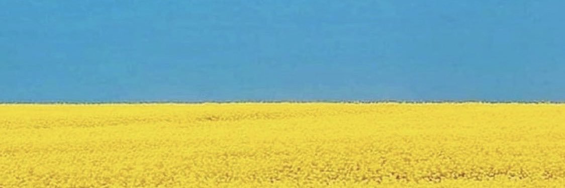 Жена Тевтонца 🇩🇪🇺🇦🇮🇱 banner