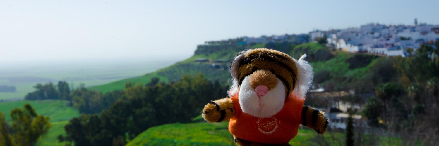 RIT Study Abroad banner