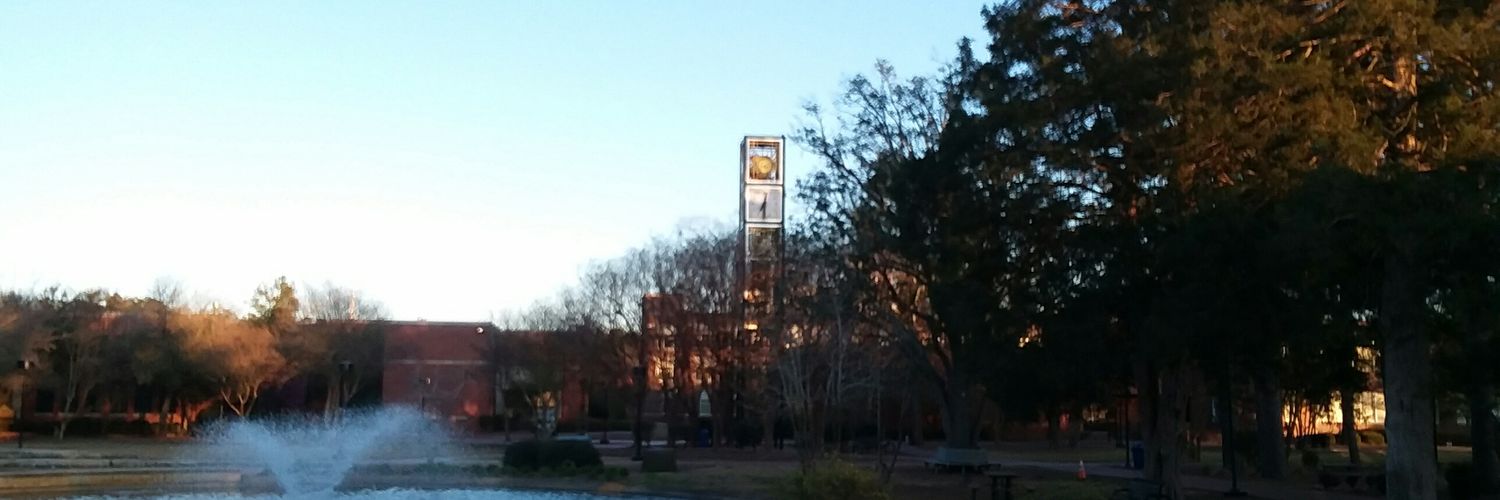 The Greener Coalition banner