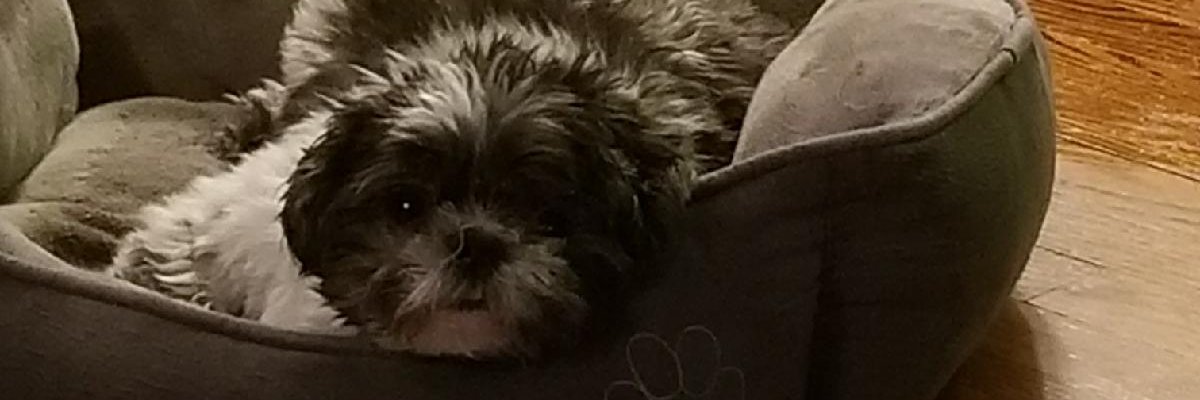 CookieCharlie banner