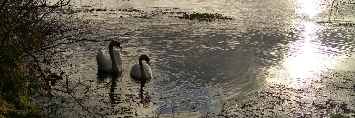 Jerry Padfield banner