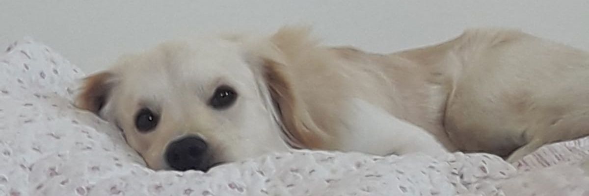 _UgurU_'s profile banner image