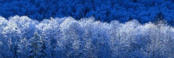 LarryJamel Profile Banner