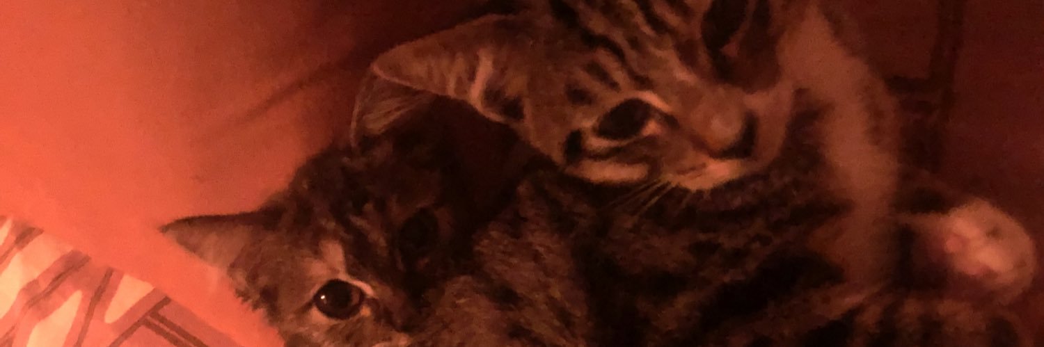 frhfaizac's profile banner image