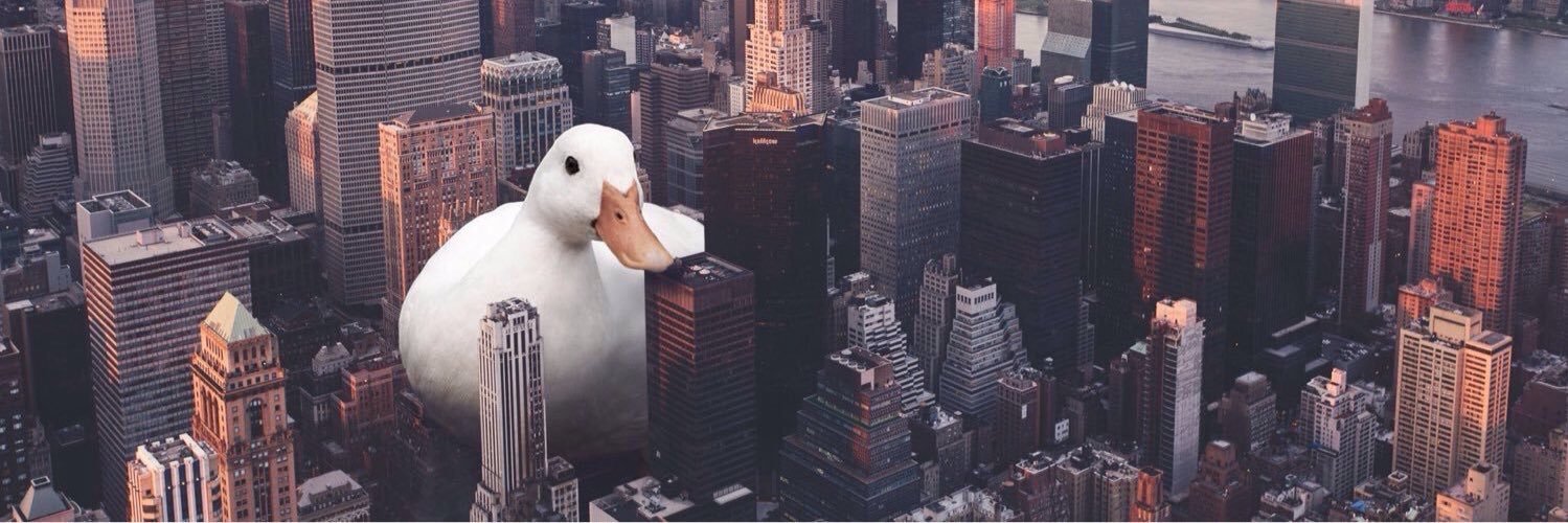 patolol_'s profile banner image