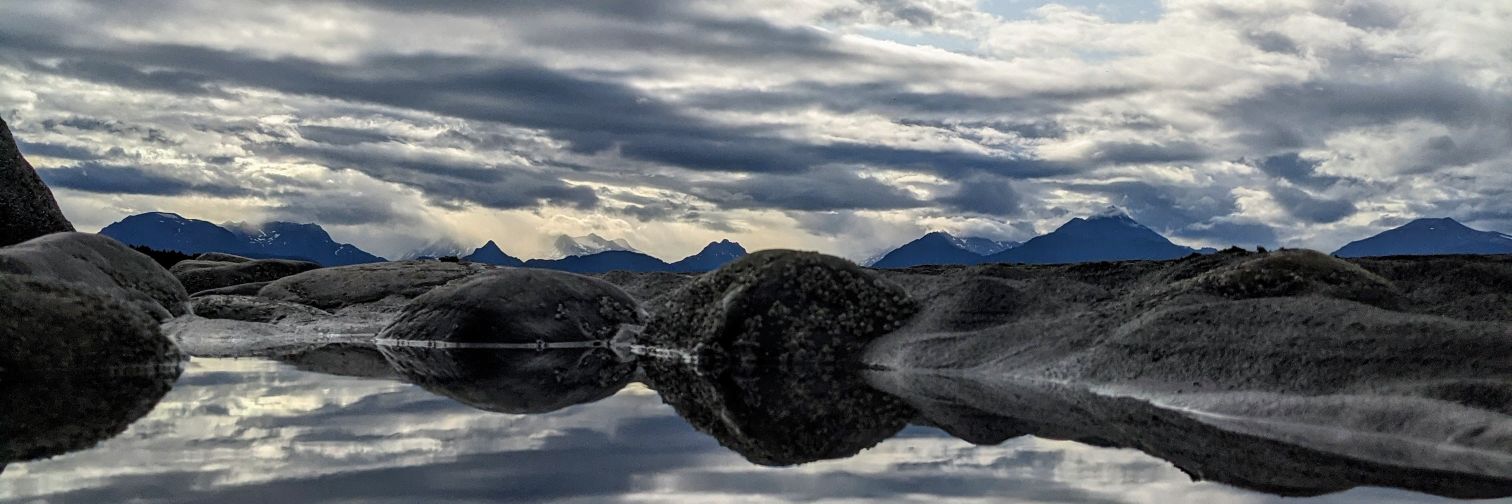 alisonphunter's profile banner image