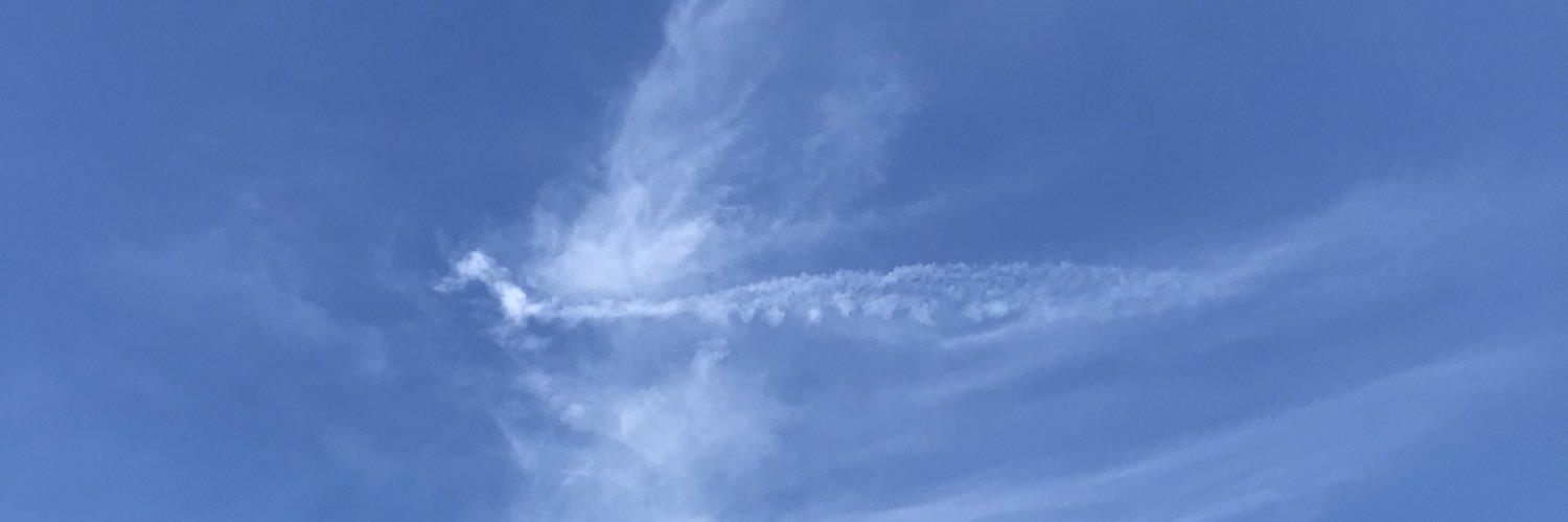 フウたんママ banner