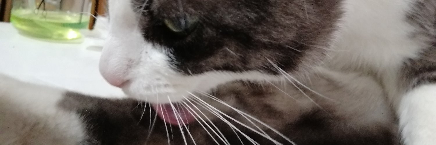 Genard Ivan Claros Perez banner