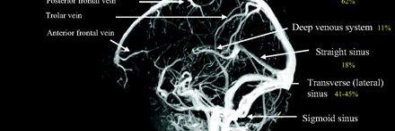 TheBrainClinic's profile banner image