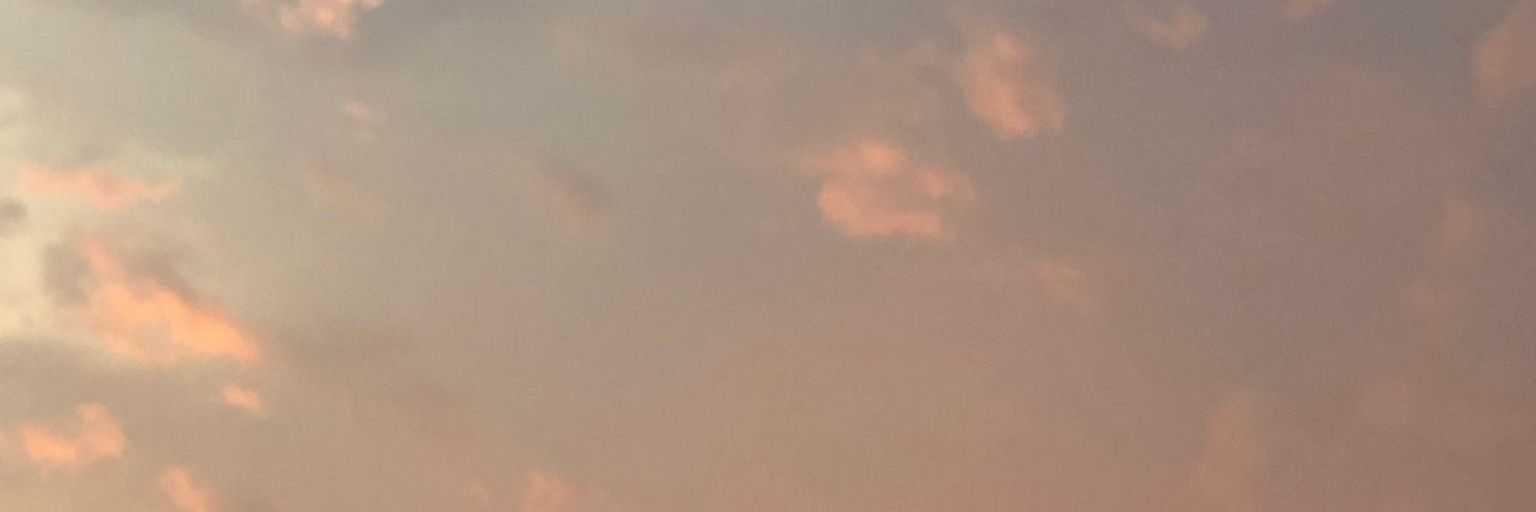 LocalBottomSG's profile banner image