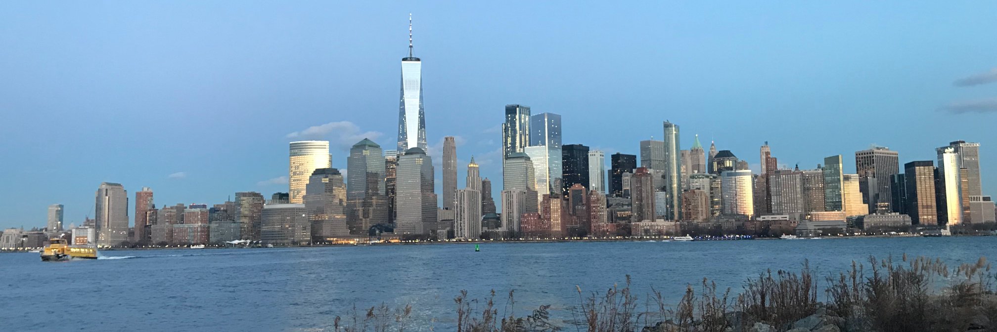 Claudia Dolan banner