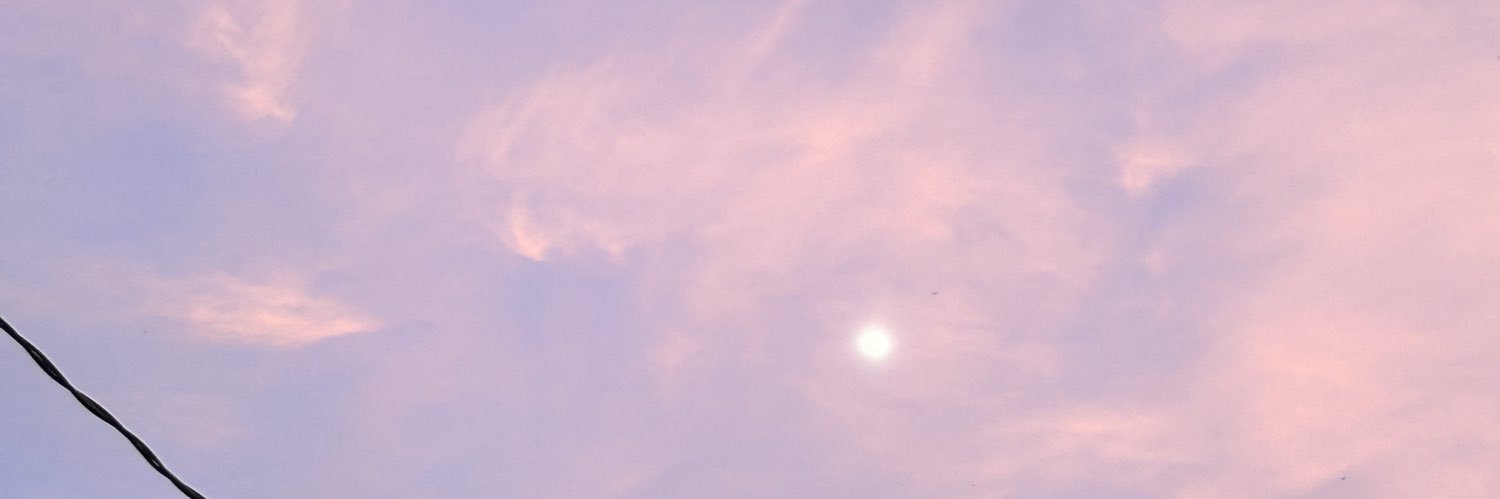 PauOlan0's profile banner image