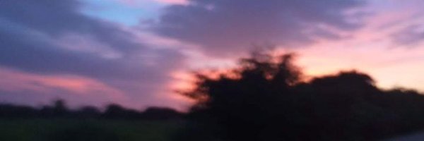 firedmaeng Profile Banner