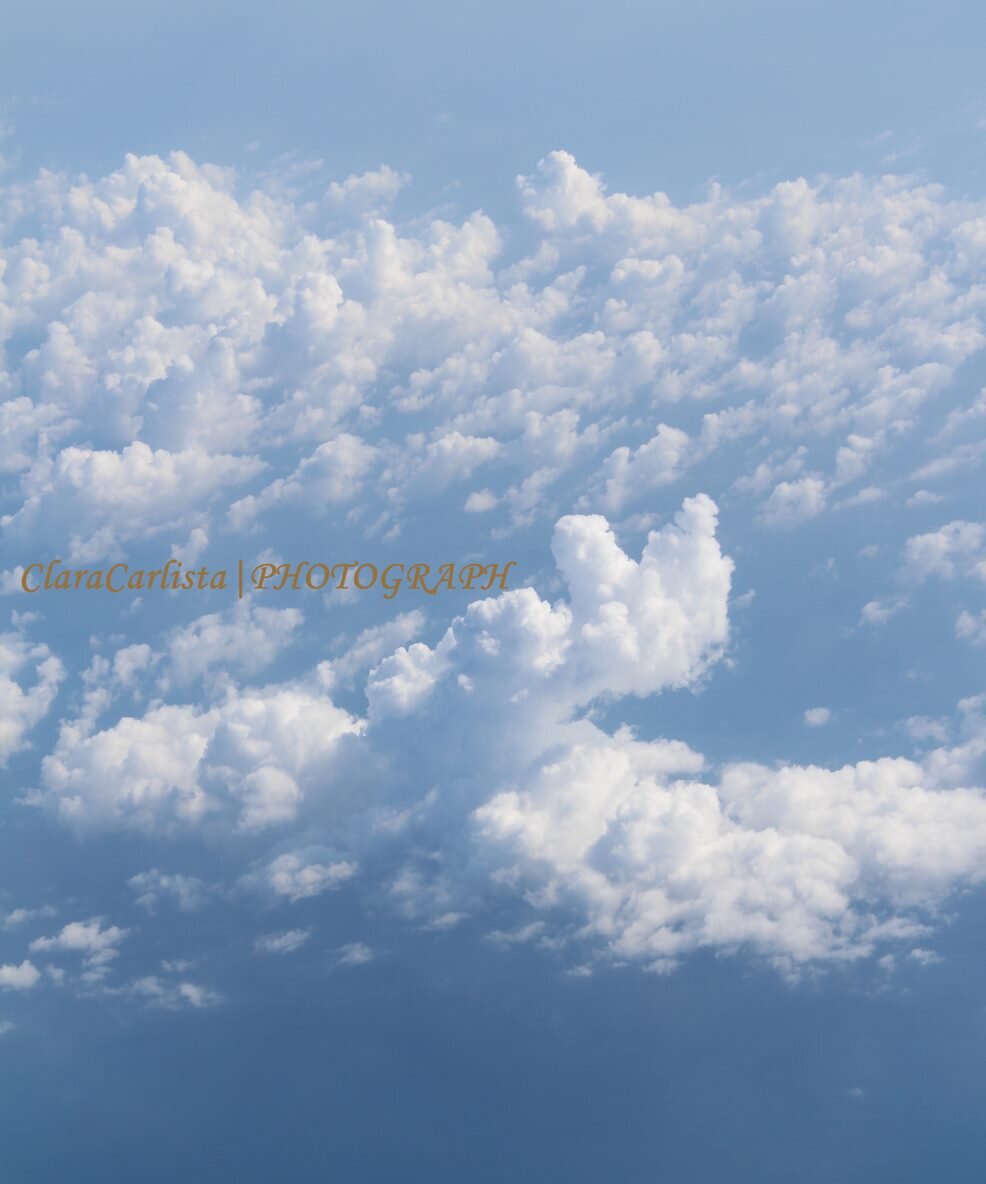 claracarlista's profile banner image