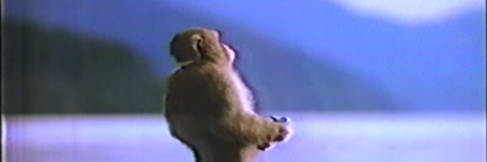 Brewguey's profile banner image