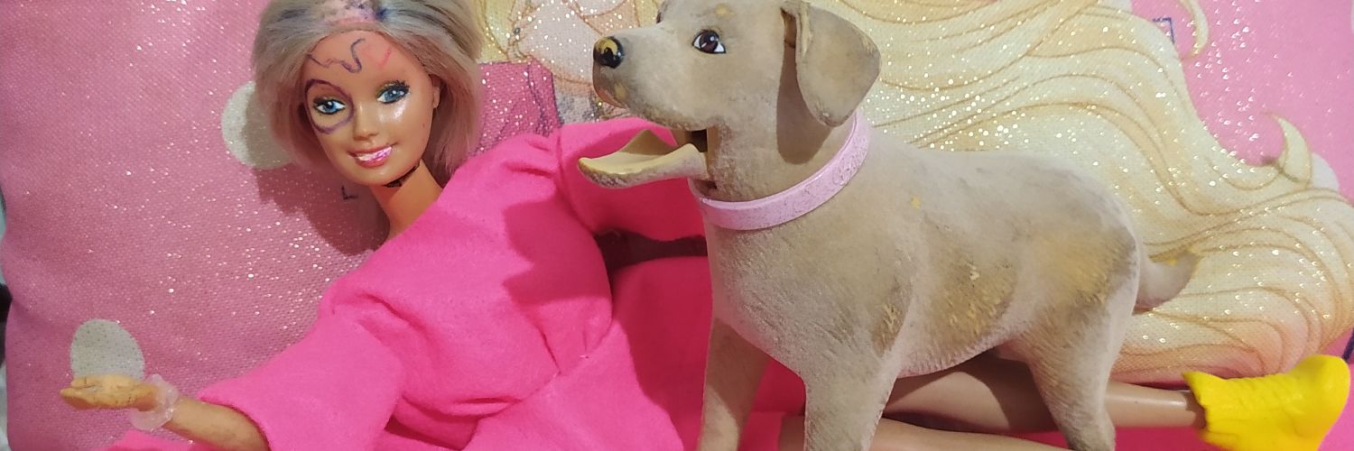 yaybarbie's profile banner image
