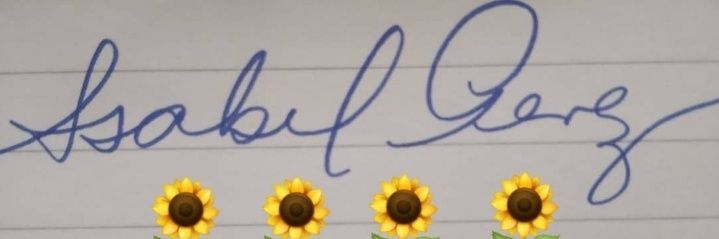 Isabel banner
