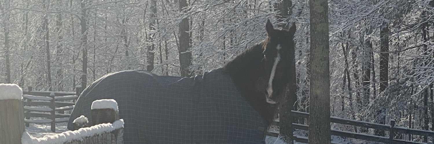 Gary Silvester banner