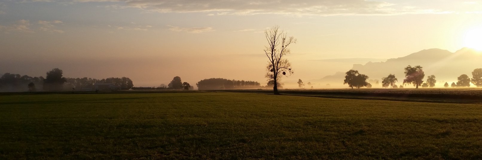 marconaef's profile banner image