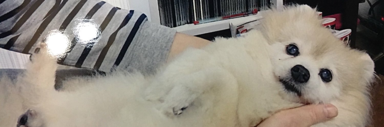 mocchimura's profile banner image