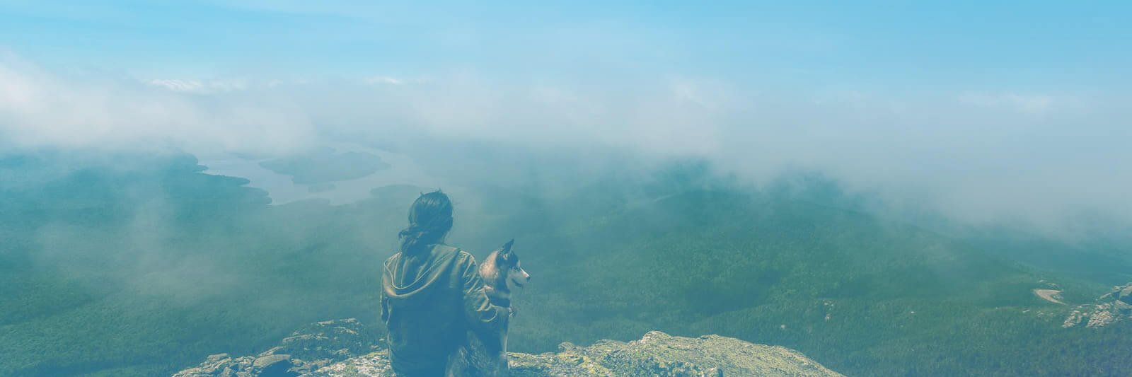 Nimbo banner