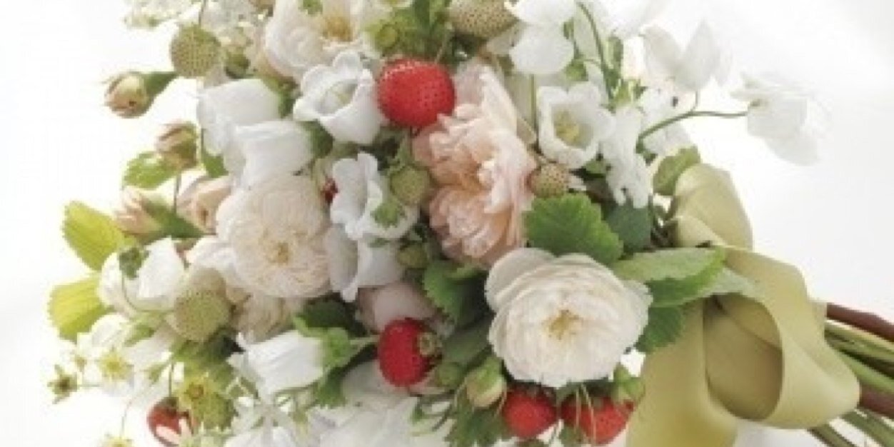 twinkle5568's profile banner image