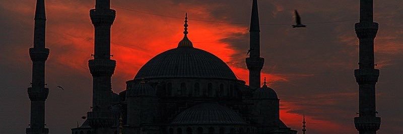 call_Me_Habibi banner