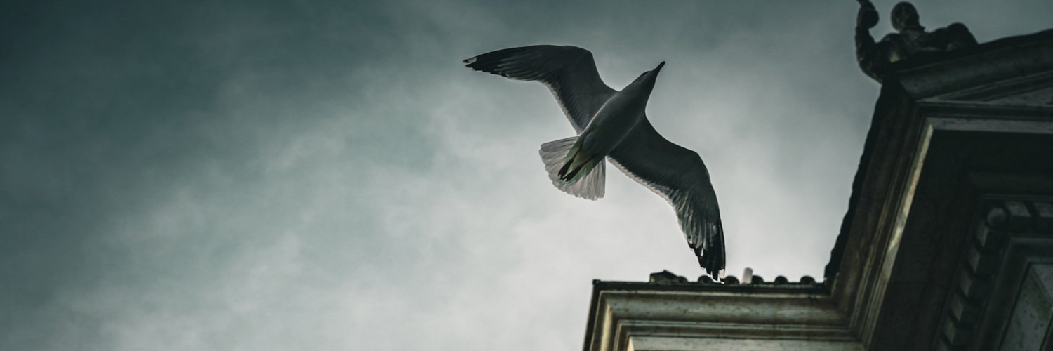 Rightsum's profile banner image