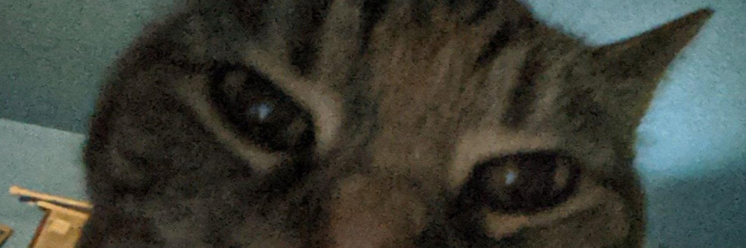 Merlinftb's profile banner image