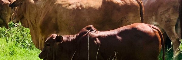 FFarmEstates1 Profile Banner