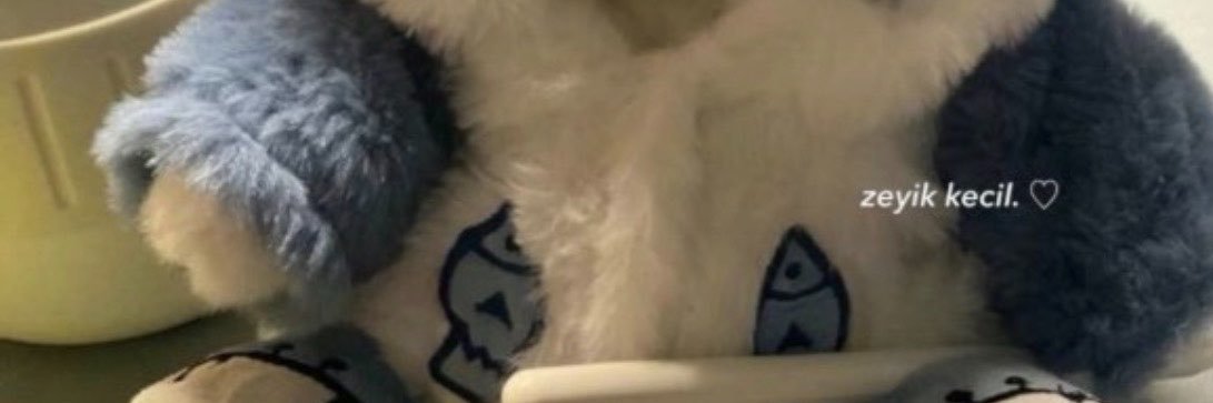 choisawn's profile banner image