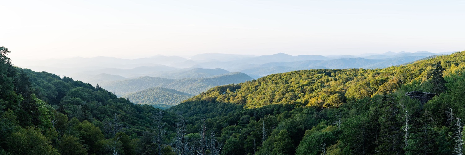 booneview's profile banner image