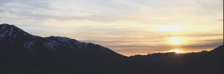 nlangvardt's profile banner image