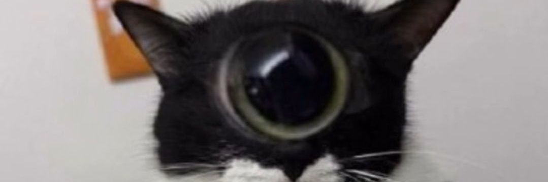 Naxtaftheking's profile banner image