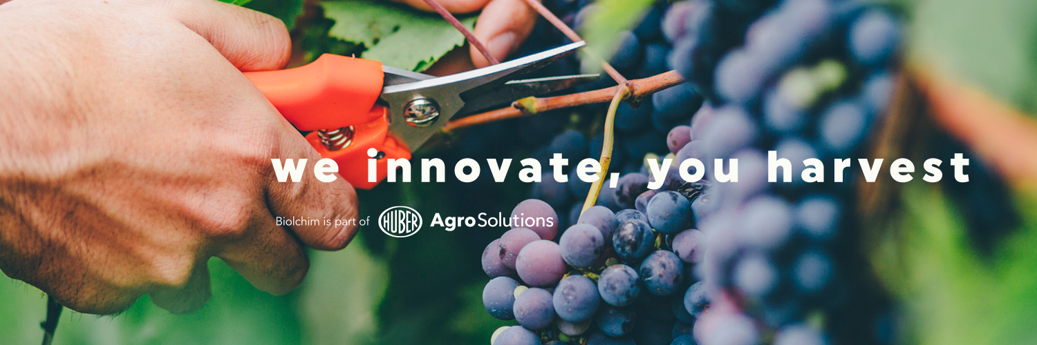 Biolchim banner