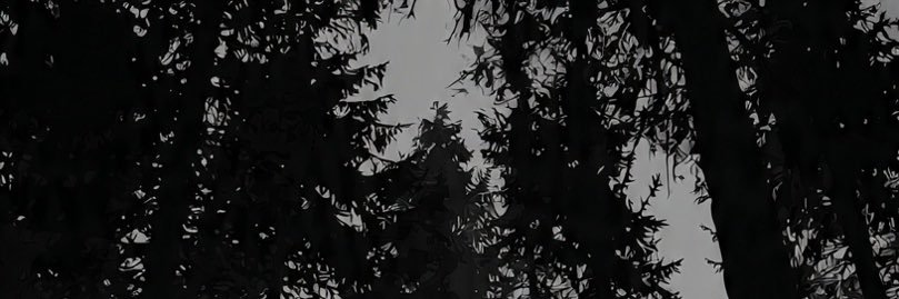palegrav's profile banner image