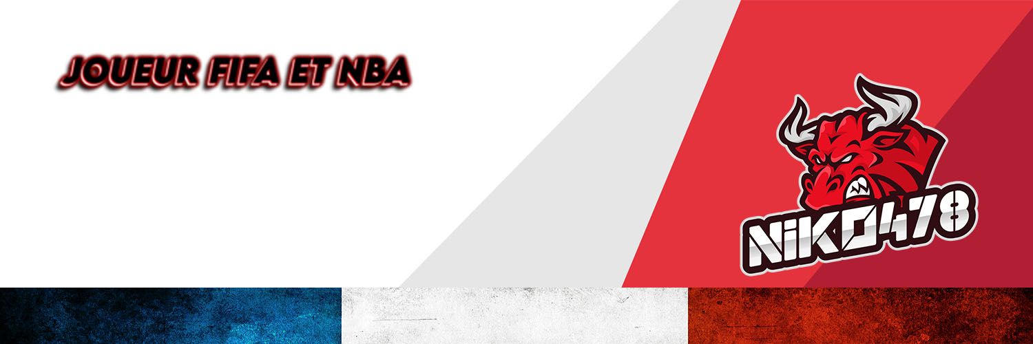 NIKO478 banner