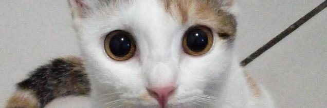 jakdavaaa's profile banner image