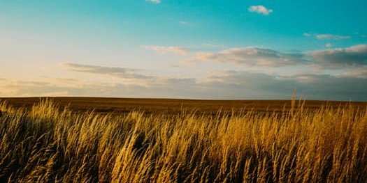 MBTuohy's profile banner image