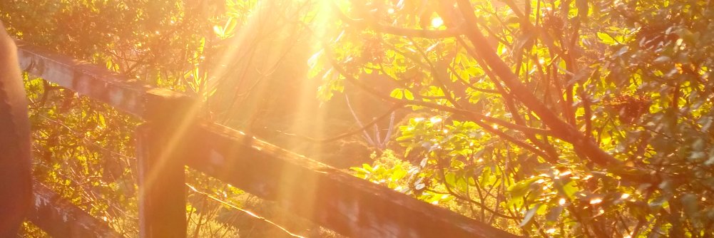 jonathanroneill's profile banner image