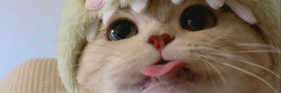 nelsyarin's profile banner image