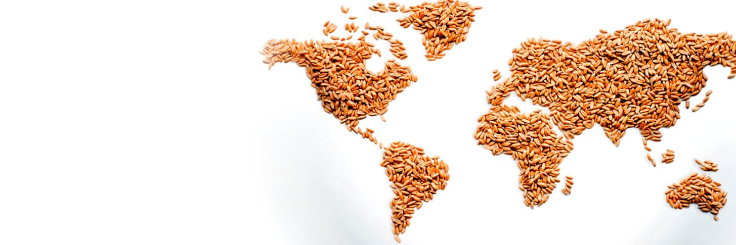 Grain Technology banner