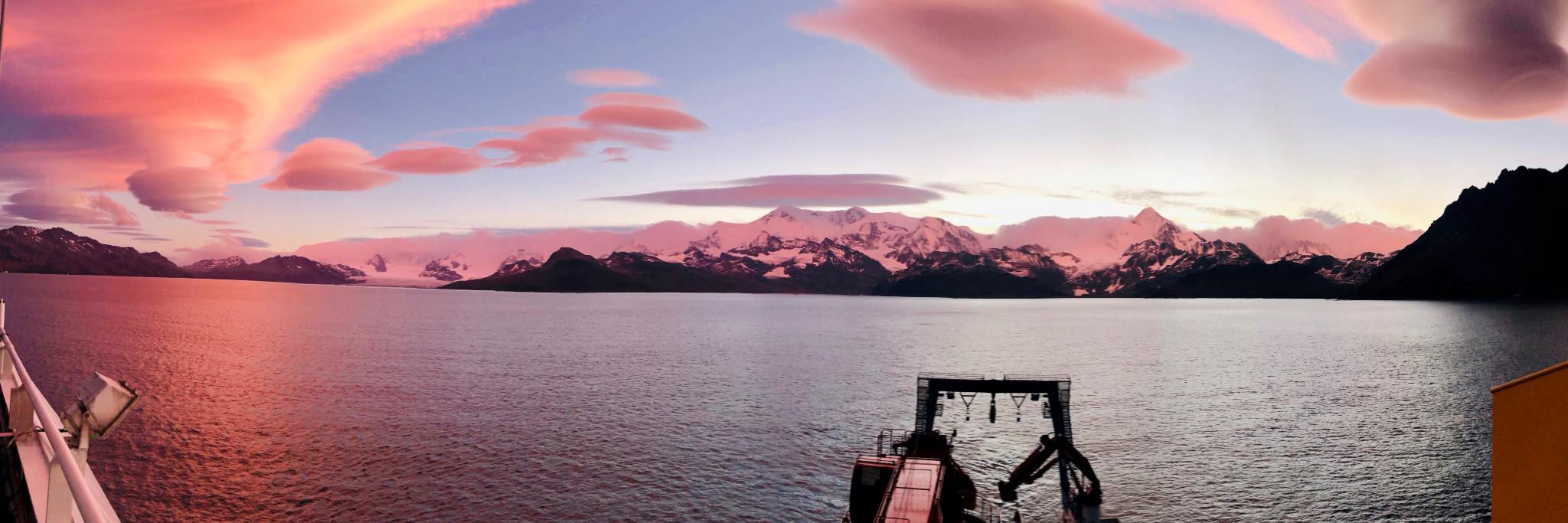 Dr Emily Rowlands banner