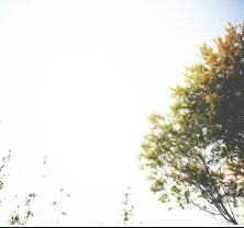 Stephanie_SES's profile banner image