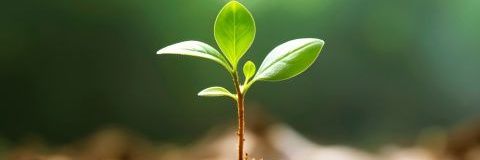 Mumbaikar1106's profile banner image