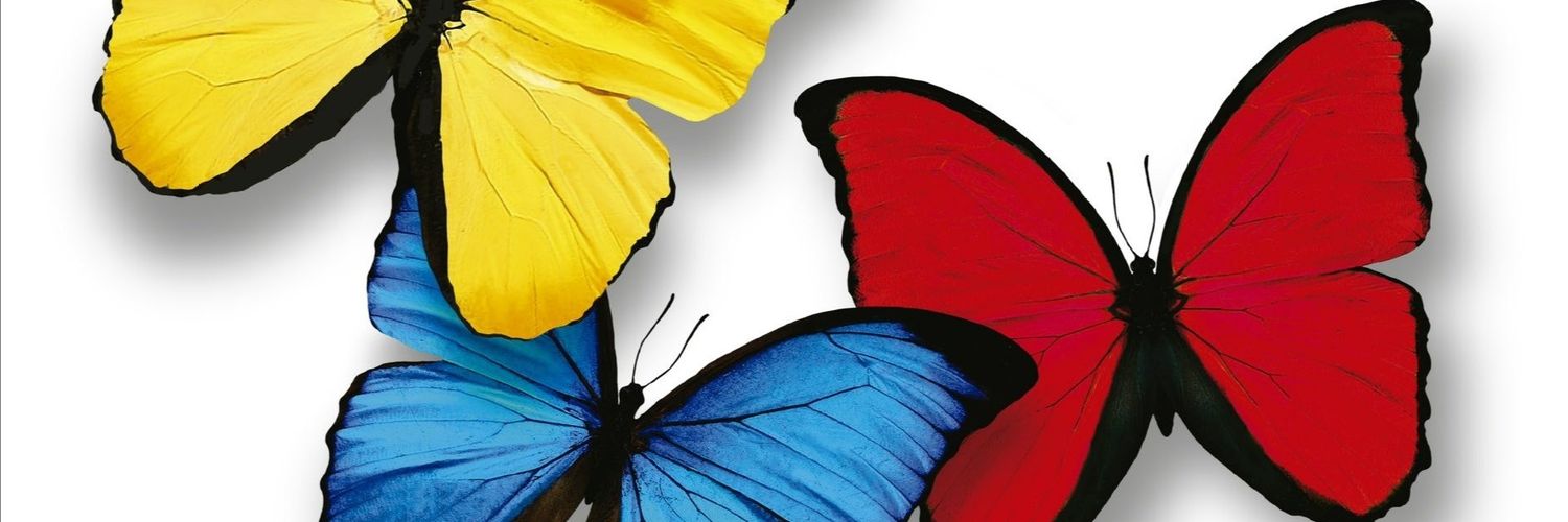 Eliana Castro banner