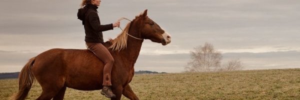 MundoCaballos's profile banner image