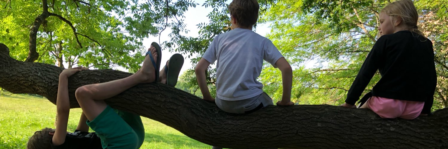 Windsor Weenies off the Screenies banner